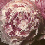 Drama Queen Peony floral painting by Roxanne Dyer, artwork oil on canvas 24″ x 24″, stormy pinks and elegant neutrals with white and creamy tints, Private Collection, NFS, Prints available.